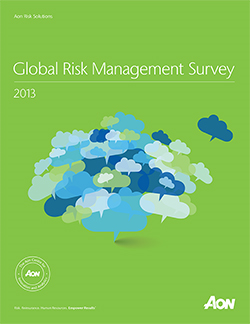 risk management survey