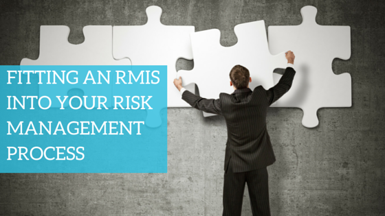 Risk Management Process Improvement