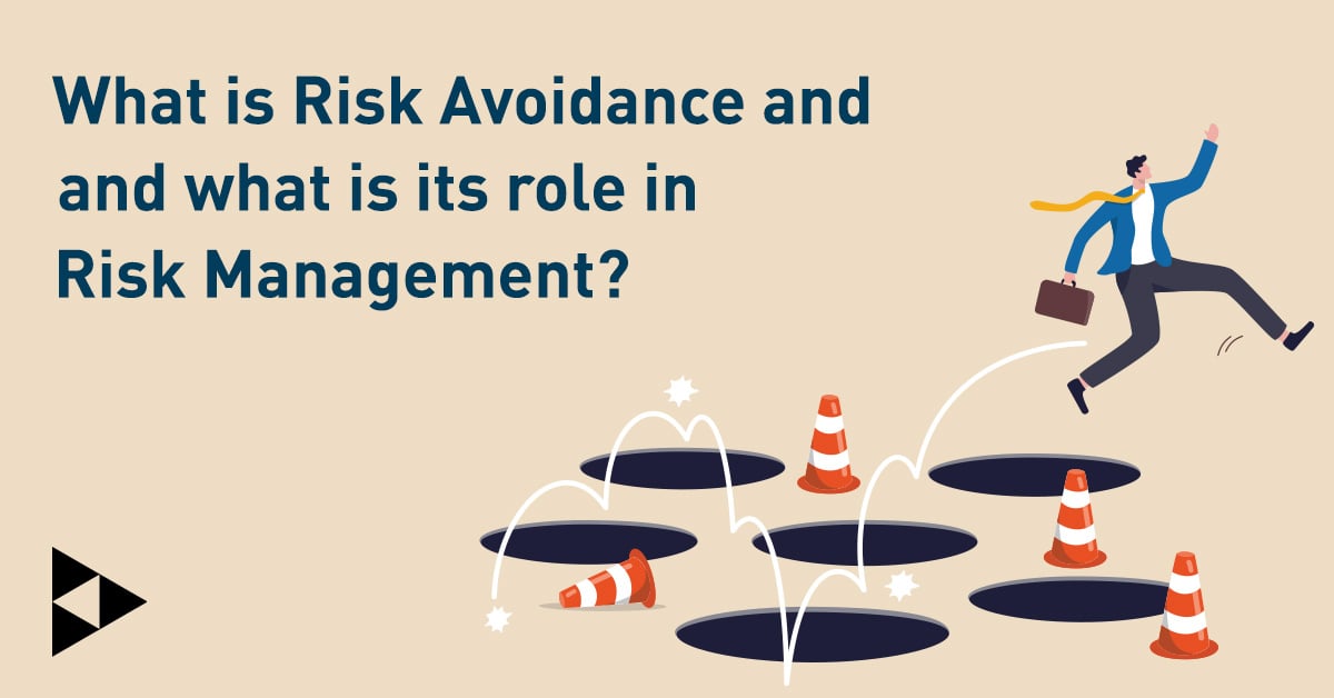 Risk Avoidance Definition and Strategies