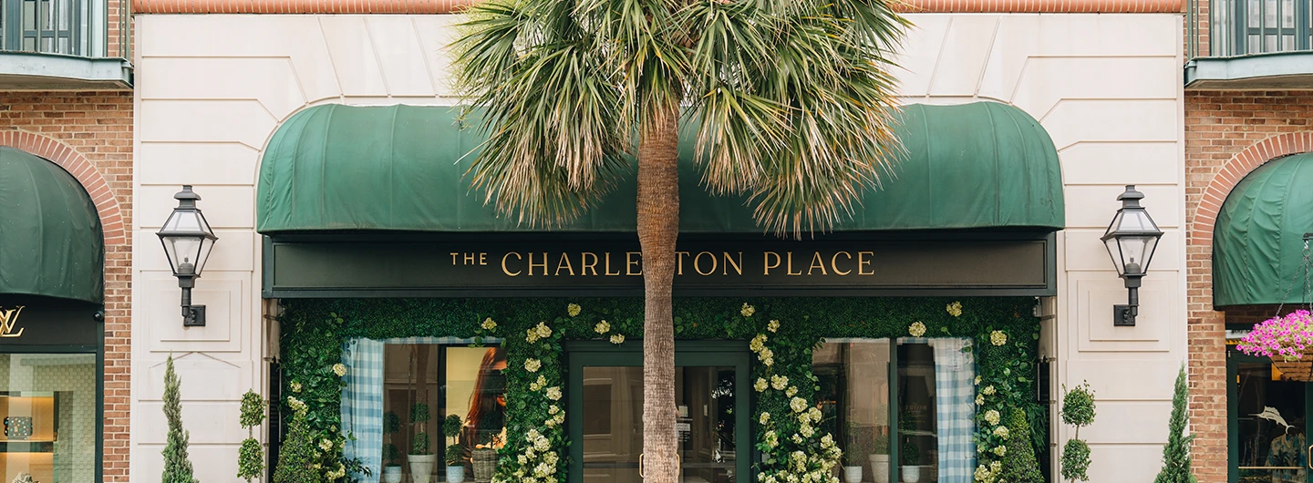 charleston-place-hotel-palm-tree