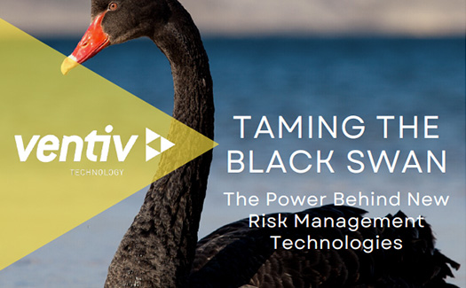 taming-black-swan-power-behind-new-risk-management-technologies-whitepaper-card